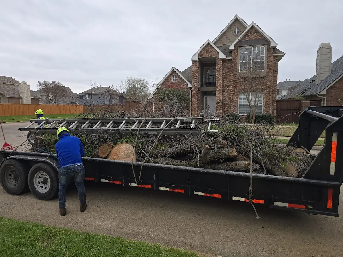 Expert Tree Fertilization with proper safety equipment in Saint David